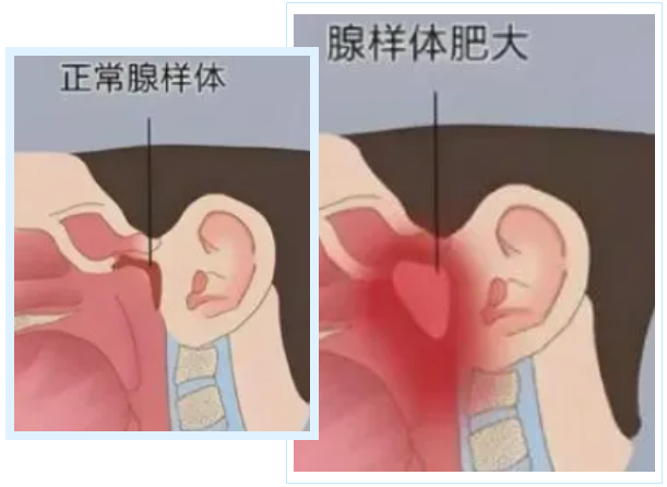 1761289485998822.png 1761285320415779.png